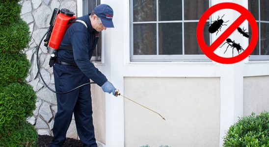 Reşadiye Böcek İlaçlama böcek ilaçlama ve haşere kontrolü — ilaclama-tr.com